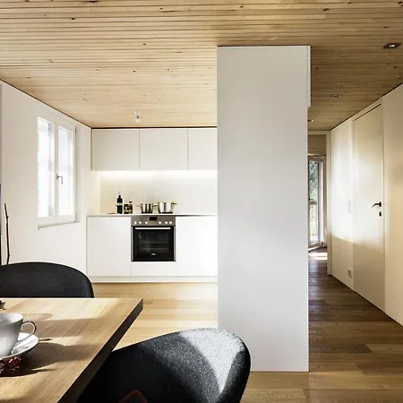 Lägenhet Mesmerhaus