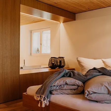 Lägenhet Mesmerhaus